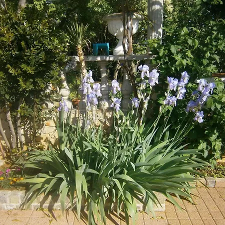 Ferienhaus In Mit Terrasse, Garten Und Grill - B58615 Casa vacanze